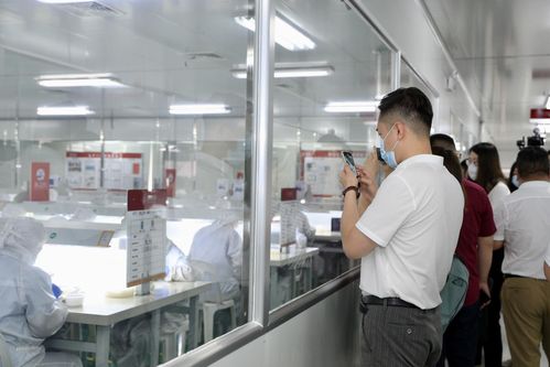 数十家权威媒体齐聚燕之屋透明工厂,匠心品质获认可