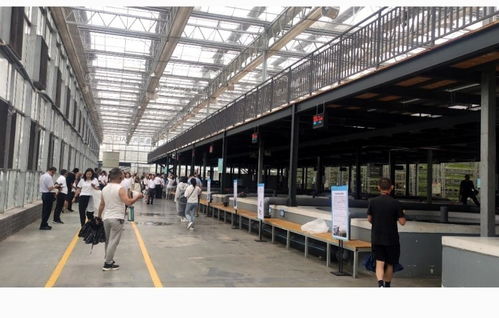 鱼菜共生AI工厂与食用菌智慧化生产车间 看健康科技如何重塑现代农业生产